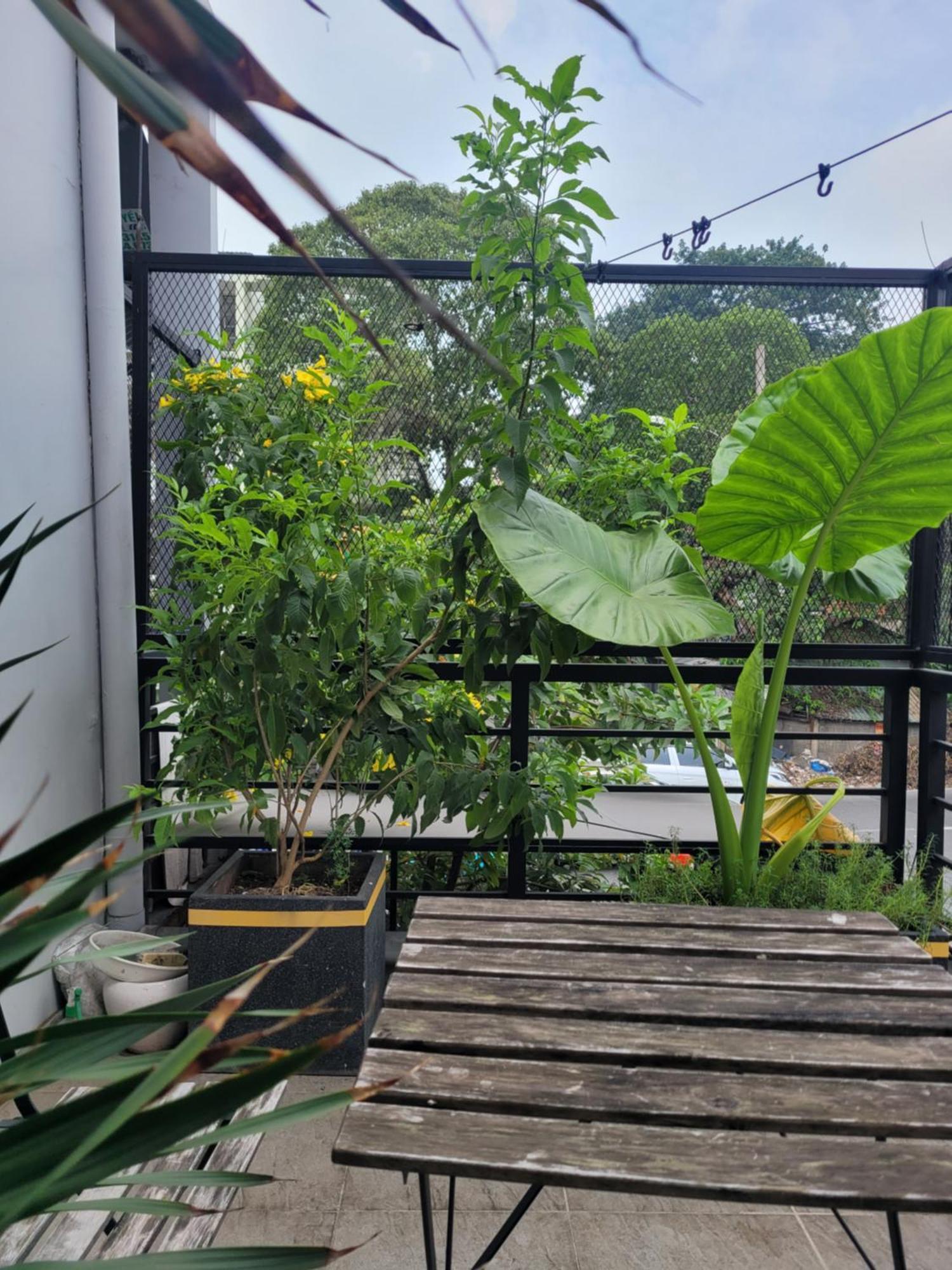 Agk House - Homestay - 406 Xo Viet Nghe Tinh, P25, Binh Thanh, Gan Nga 4 Hang Xanh Πόλη Χο Τσι Μινχ Εξωτερικό φωτογραφία